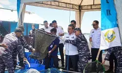 TNI AL panen 150 kilogram ikan dukung ketahanan pangan di Maluku