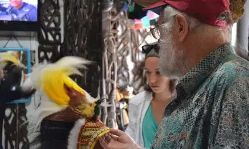 Tokoh adat Papua minta aturan lindungi mahkota burung Cenderawasih