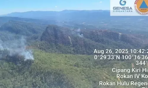 Helikopter waterbombing padamkan tiga titik karhutla di Riau