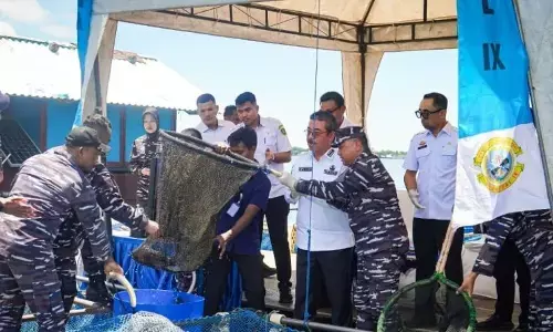 TNI AL panen 150 kilogram ikan dukung ketahanan pangan di Maluku TNI AL panen 150 kilogram ikan dukung ketahanan pangan di Maluku