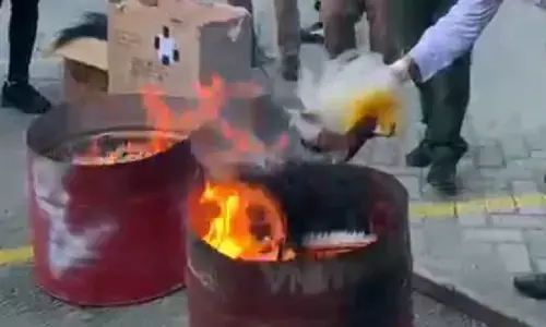 Anggota DPR nilai pembakaran mahkota Cenderawasih langgar aturan Anggota DPR nilai pembakaran mahkota Cenderawasih langgar aturan