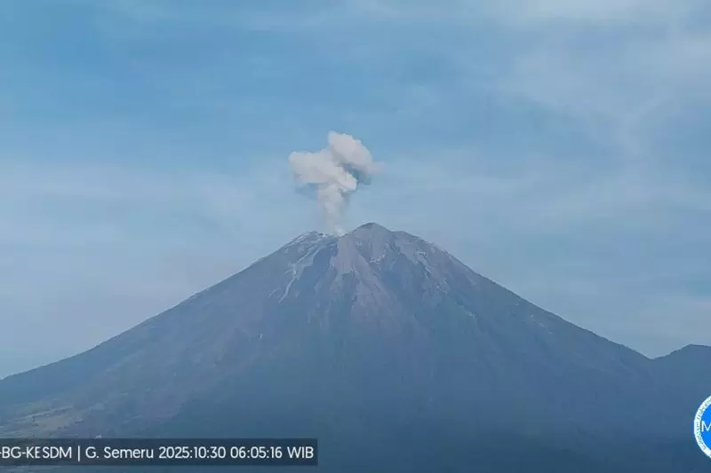 Gunung Semeru delapan kali erupsi dengan tinggi letusan 800 meter Gunung Semeru delapan kali erupsi dengan tinggi letusan 800 meter