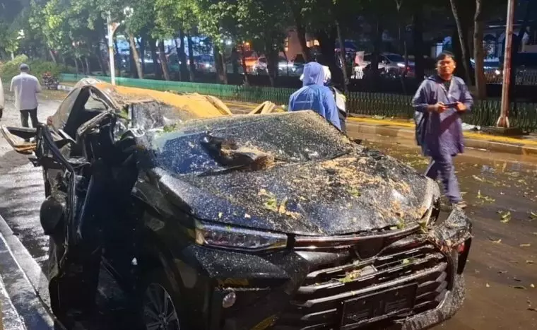 Polres Jaksel tangani kasus pengemudi tertimpa pohon saat hujan deras Polres Jaksel tangani kasus pengemudi tertimpa pohon saat hujan deras