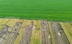 Kementerian ATR pastikan perubahan penggunaan lahan sesuai tata ruang Kementerian ATR pastikan perubahan penggunaan lahan sesuai tata ruang