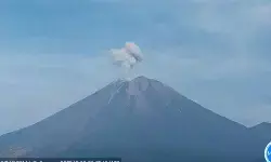 Gunung Semeru delapan kali erupsi dengan tinggi letusan 800 meter Gunung Semeru delapan kali erupsi dengan tinggi letusan 800 meter