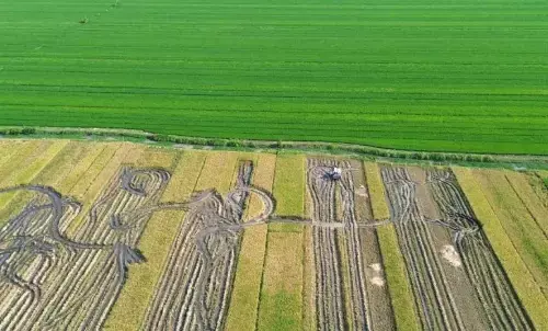 Kementerian ATR pastikan perubahan penggunaan lahan sesuai tata ruang