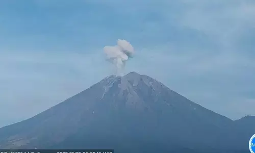 Gunung Semeru delapan kali erupsi dengan tinggi letusan 800 meter Gunung Semeru delapan kali erupsi dengan tinggi letusan 800 meter