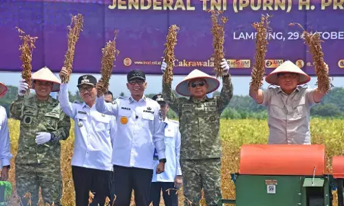Panglima TNI dampingi Menhan panen kedelai Garuda Merah Putih di Lampung Utara Panglima TNI dampingi Menhan panen kedelai Garuda Merah Putih di Lampung Utara