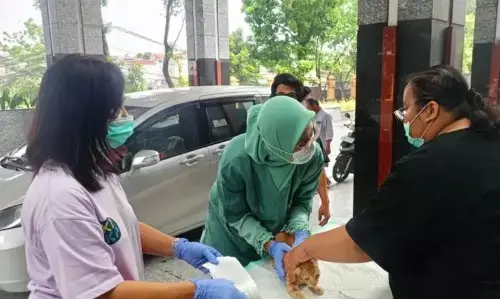 Pemkot Jaktim gencarkan vaksinasi rabies dan edukasi masyarakat Pemkot Jaktim gencarkan vaksinasi rabies dan edukasi masyarakat