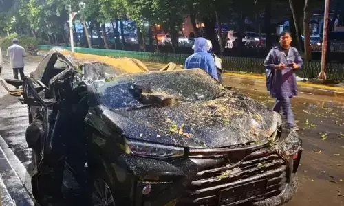 Polres Jaksel tangani kasus pengemudi tertimpa pohon saat hujan deras Polres Jaksel tangani kasus pengemudi tertimpa pohon saat hujan deras