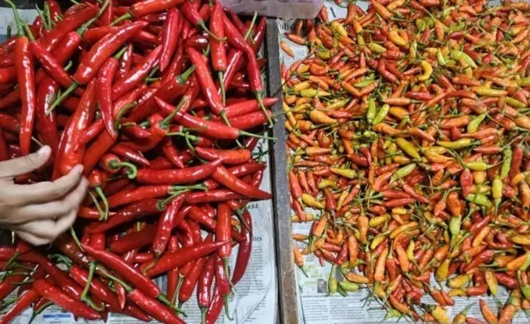 PIHPS: Harga cabai rawit Rp40.600/kg, telur ayam Rp31.500/kg PIHPS: Harga cabai rawit Rp40.600/kg, telur ayam Rp31.500/kg