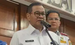 Pemprov DKI tanggung korban akibat pohon tumbang