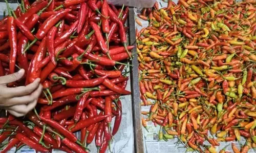 PIHPS: Harga cabai rawit Rp40.600/kg, telur ayam Rp31.500/kg PIHPS: Harga cabai rawit Rp40.600/kg, telur ayam Rp31.500/kg