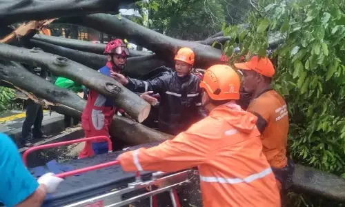 BPBD Jakarta catat 33 RT masih tergenang dan 13 pohon tumbang akibat hujan deras