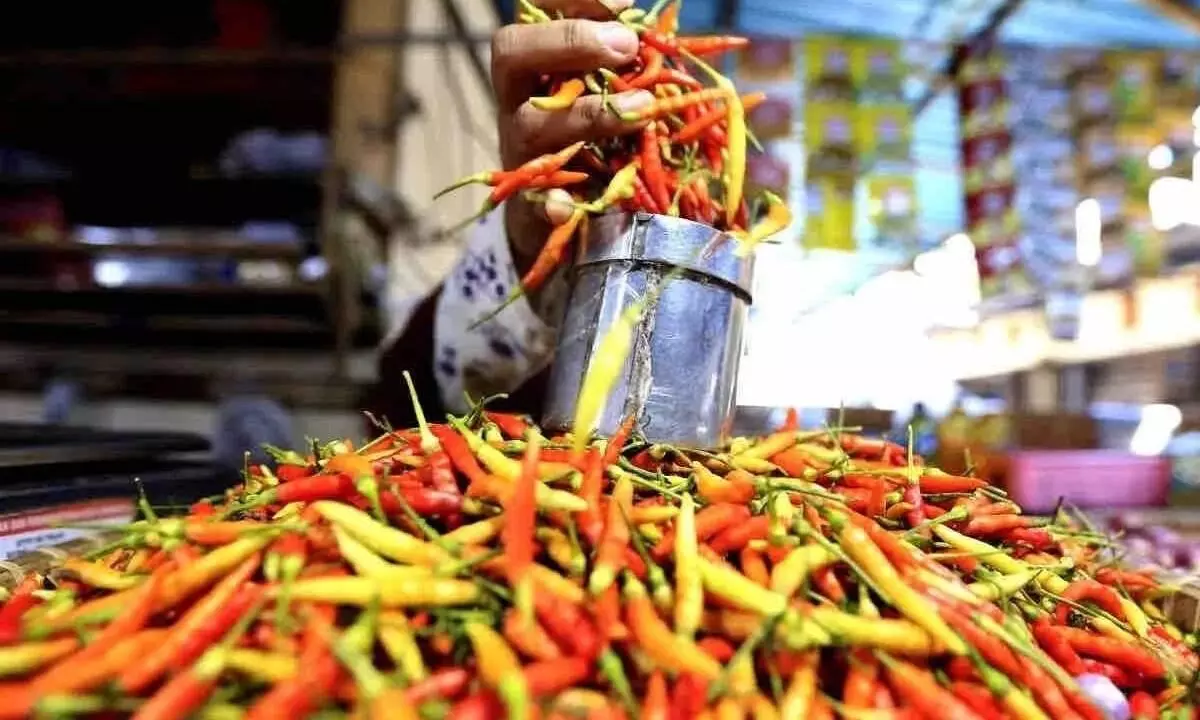 Awal November, harga cabai rawit merah capai Rp40.650 per kg Awal November, harga cabai rawit merah capai Rp40.650 per kg