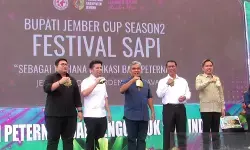 Mentan sebut Festival Sapi solusi selesaikan impor daging sapi