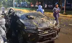 DKI pangkas 62.161 pohon untuk antisipasi tumbang