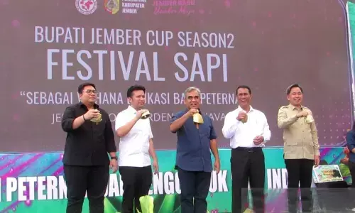 Mentan sebut Festival Sapi solusi selesaikan impor daging sapi