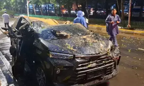 DKI pangkas 62.161 pohon untuk antisipasi tumbang DKI pangkas 62.161 pohon untuk antisipasi tumbang