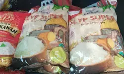 Dirut Perum Bulog: Tahun ini Bulog menyerap lebih dari 3 juta ton gabah petani