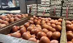 PIHPS: Harga cabai rawit Rp40.660/kg, telur ayam Rp31.400/kg