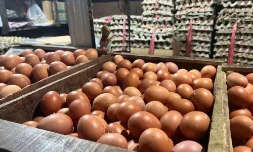 PIHPS: Harga cabai rawit Rp40.660/kg, telur ayam Rp31.400/kg PIHPS: Harga cabai rawit Rp40.660/kg, telur ayam Rp31.400/kg