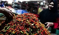 PIHPS: Harga cabai rawit Rp39.300/kg, telur ayam Rp31.050/kg
