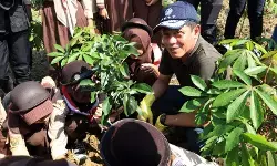 Delegasi RI tanam pohon untuk imbangi emisi perjalanan ke COP30 Brasil