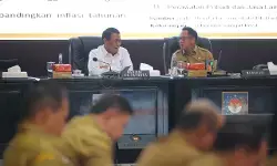 Mendagri Tito: Beras peredam inflasi Nasional