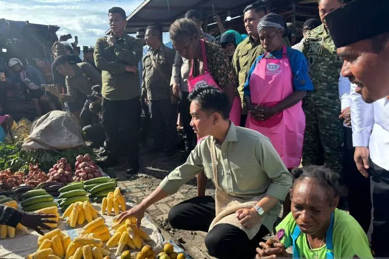 Gibran belanja jeruk hingga jagung saat kunjungi pasar di Manokwari Gibran belanja jeruk hingga jagung saat kunjungi pasar di Manokwari