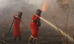 BPBD Damkar Riau padamkan karhutla di tiga kabupaten