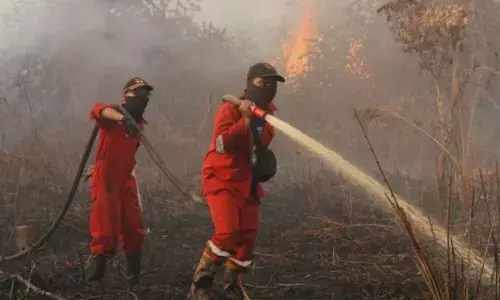 BPBD Damkar Riau padamkan karhutla di tiga kabupaten