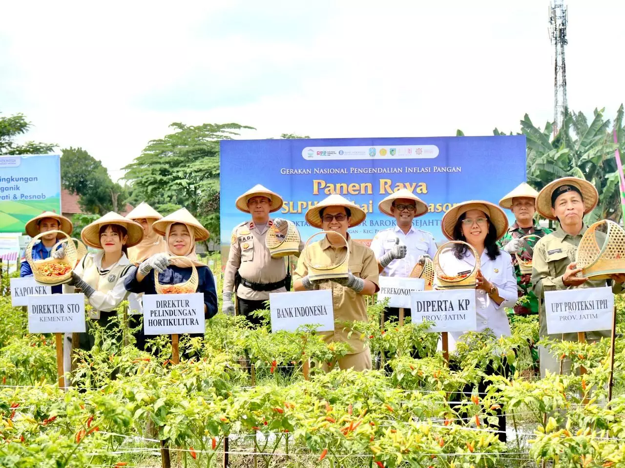 Perkuat Ketahanan Pangan, BI Kediri beri pelatihan `Cabai off Season Ramah Lingkungan` Perkuat Ketahanan Pangan, BI Kediri beri pelatihan `Cabai off Season Ramah Lingkungan`