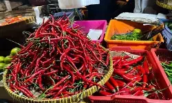 PIHPS: Harga cabai rawit Rp41.350/kg, telur ayam Rp31.450/kg PIHPS: Harga cabai rawit Rp41.350/kg, telur ayam Rp31.450/kg