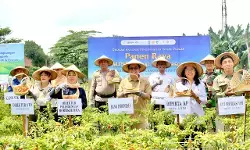 Perkuat Ketahanan Pangan, BI Kediri beri pelatihan `Cabai off Season Ramah Lingkungan`