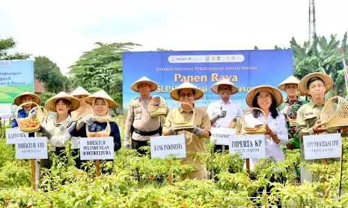 Perkuat Ketahanan Pangan, BI Kediri beri pelatihan `Cabai off Season Ramah Lingkungan` Perkuat Ketahanan Pangan, BI Kediri beri pelatihan `Cabai off Season Ramah Lingkungan`