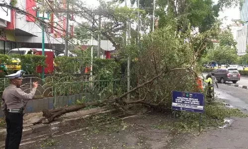 Truk molen hantam pohon hingga tumbang di depan Mal Slipi Jaya Truk molen hantam pohon hingga tumbang di depan Mal Slipi Jaya