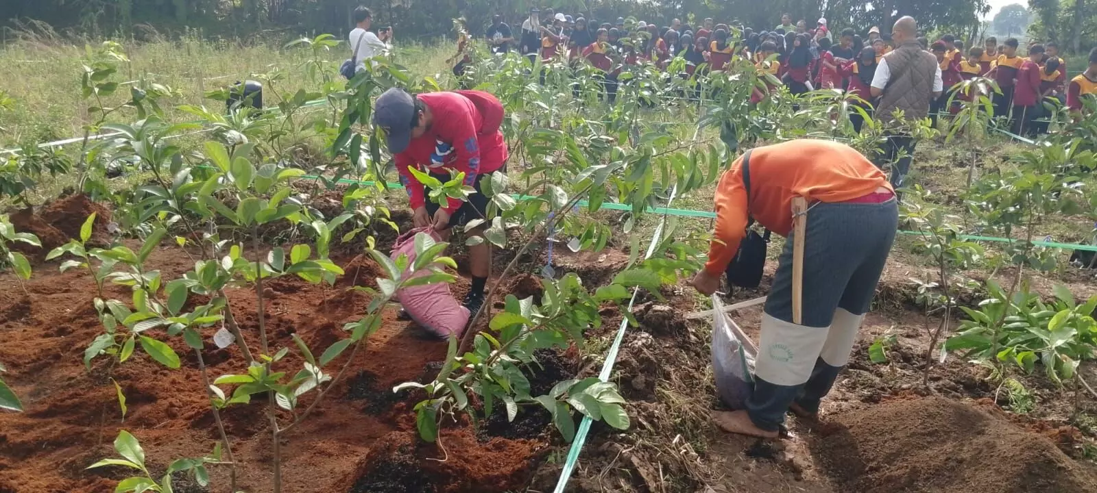 Jatiwangi art Factory gagas Hutan Tanaraya, setiap orang bisa miliki hutan Jatiwangi art Factory gagas Hutan Tanaraya, setiap orang bisa miliki hutan