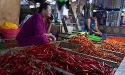 PIHPS: Harga cabai rawit Rp20.650/kg, telur ayam Rp27.100/kg