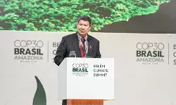 RI dukung penuh inisiatif Brasil untuk Konservasi Hutan Tropis
