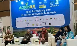 KAPPI dorong sinergi pusat dan daerah tingkatkan produktivitas petani kopi