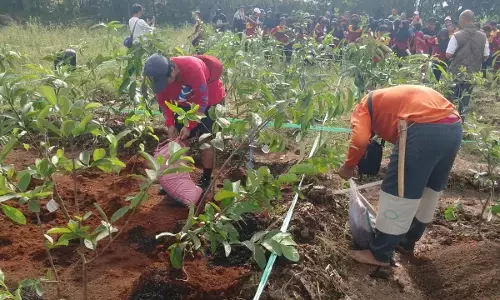 Jatiwangi art Factory gagas Hutan Tanaraya, setiap orang bisa miliki hutan Jatiwangi art Factory gagas Hutan Tanaraya, setiap orang bisa miliki hutan