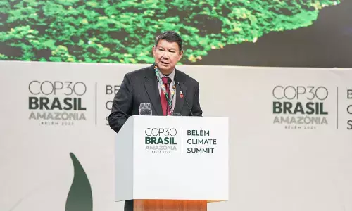 RI dukung penuh inisiatif Brasil untuk Konservasi Hutan Tropis