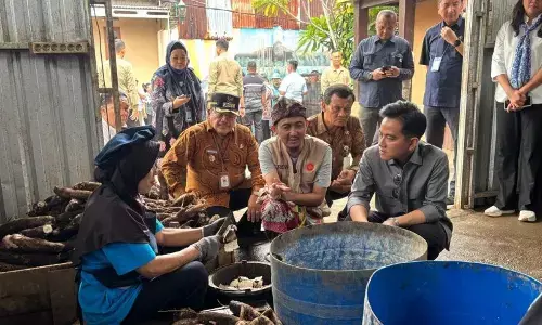 Wapres bantu olahan singkong masuk menu MBG sebagai wujud dukung UMKM Wapres bantu olahan singkong masuk menu MBG sebagai wujud dukung UMKM