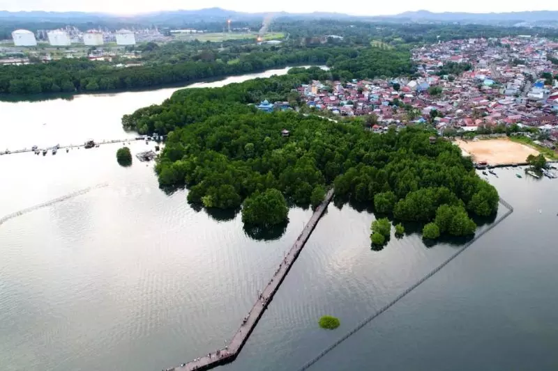 DPMPTSP Bontang buka peluang investasi hijau wisata edupark
