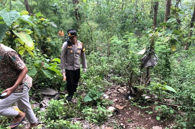 Polisi selidiki penemuan kerangka manusia di Hutan Sawoo Ponorogo Polisi selidiki penemuan kerangka manusia di Hutan Sawoo Ponorogo