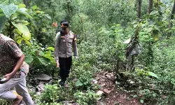 Polisi selidiki penemuan kerangka manusia di Hutan Sawoo Ponorogo Polisi selidiki penemuan kerangka manusia di Hutan Sawoo Ponorogo