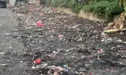 Satpel LH tuntaskan pembersihan tumpukan sampah di Cakung