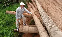 Muspika bersama Dewan Aceh Utara tinjau jembatan ambruk di Tumpok Aceh Tanah Luas