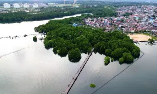 DPMPTSP Bontang buka peluang investasi hijau wisata edupark DPMPTSP Bontang buka peluang investasi hijau wisata edupark